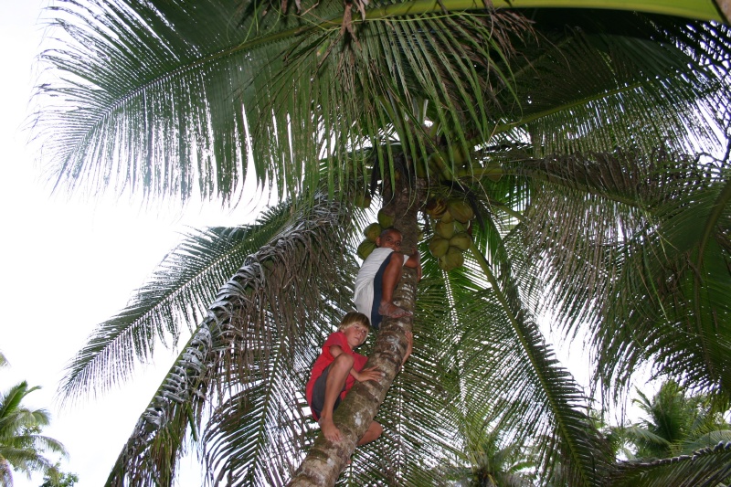 Tristan quickly picks up the art of climbing trees from Simon.